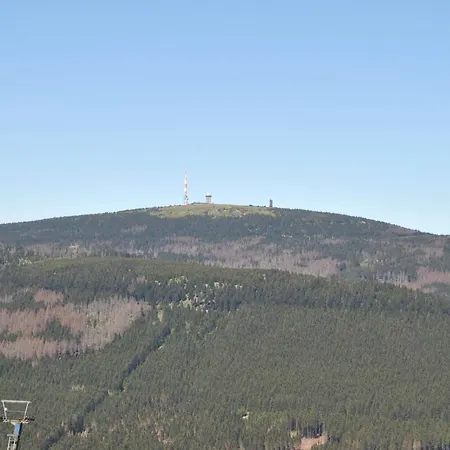 Harz-rose *